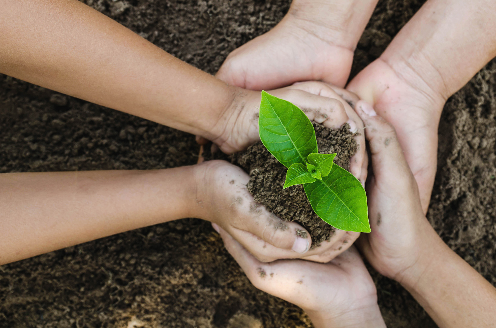 Sustainability_7_1920x1272.jpg