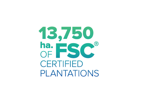 13,750 ha. of FSC certified plantations